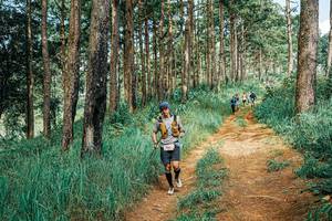 BIB: 
                            <button type="button" onclick="openModal(25746397)" class="btn btn-primary btn-sm float-right btn-popup" data-toggle="modal" data-target=".modal-high-quality">
                        <i class="fas fa-shopping-cart"></i> Add to Cart
                    </button>
                                            <button type="button" onclick="isThisMe(25746397, true)" class="btn btn-success btn-sm float-right btn-popup btn-isme hidden" data-toggle="tooltip" data-placement="bottom" title="นี่คือรูปของคุณใช่ไหม คลิกที่นี่เพื่อเอาเข้าอัลบั้ม">
                        <i class="fas fa-plus"></i> Add to album
                    </button>
                    <button type="button" onclick="isThisMe(25746397, false)" class="btn btn-warning btn-sm float-right btn-popup btn-isnotme hidden">
                        <i class="fas fa-ban"></i> Remove from album
                    </button>